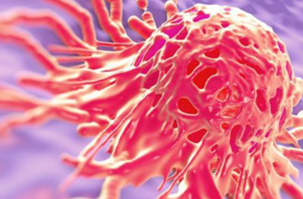 宫颈癌前病变及宫颈癌感染人乳头瘤病毒分型及临床意义
